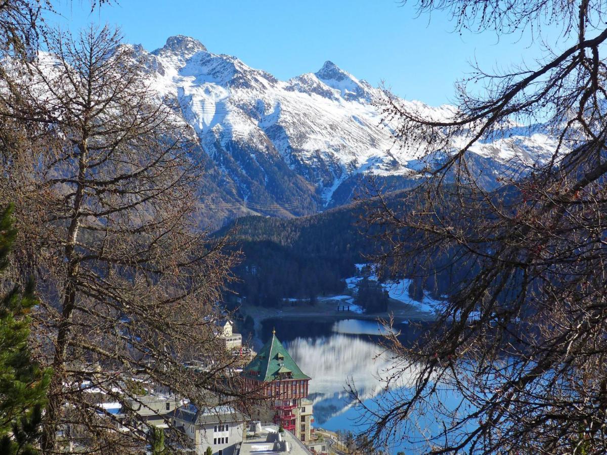 Apartment Chesa Cripels II By Interhome St. Moritz Eksteriør billede